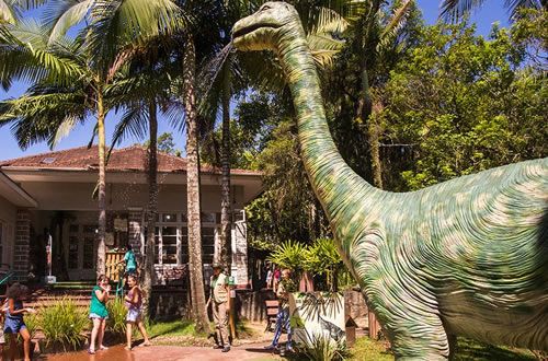 Dinossauro para brincar 