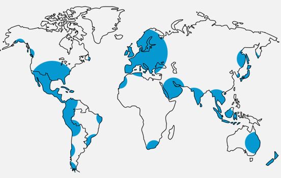 Mapa American Airlines