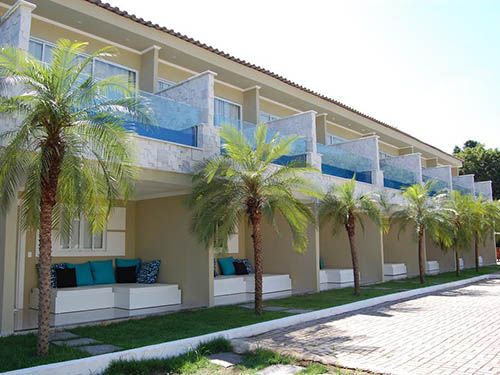 Coqueiro da pousada Apple House Paraty