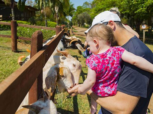 Animais do Hotel Fazenda Areia que Canta