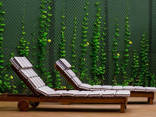 Cadeiras de piscina no Pauli Hotel