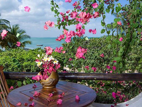 vista para o mar do My Blue Hotel