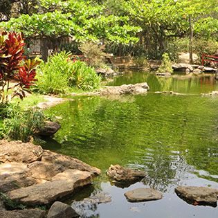 Jardim Japonês em Caldas Novas