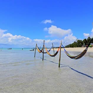 Praia de Burgalhau Maragogi
