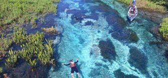 Bonito Bonito