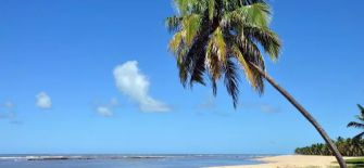 Praia em Maceió - AL Praia em Maceió - AL