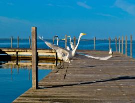 Cidade de Iguaba Grande RJ