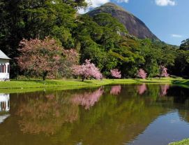 Cidade de Nova Friburgo RJ