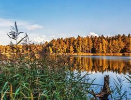 Cidade de Barracão PR