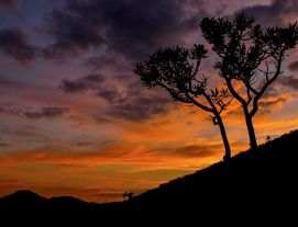 Cidade de Ouro Fino MG