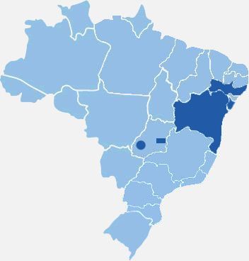 Estados atendidos pela viação