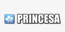 Logo Viação Princesa do Norte