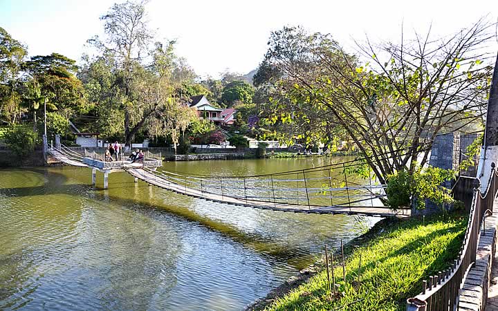 Ponte do Lago Javary - Miguel Pereira Ponte do Lago Javary - Miguel Pereira