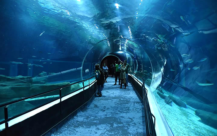AquaRio AquaRio