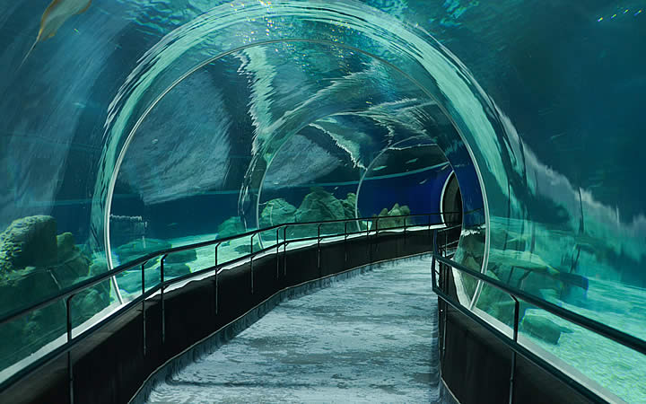 Corredor Aquario Corredor Aquario - VLT