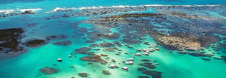Maragogi - Alagoas Maragogi - Alagoas