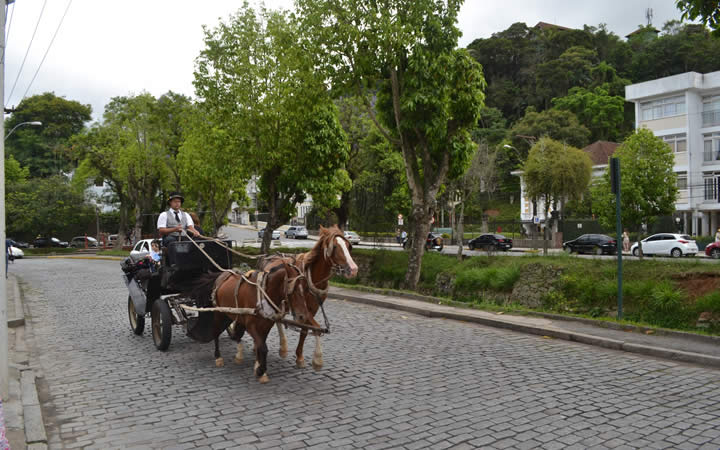 Passeio de Charrete em Petrópolis