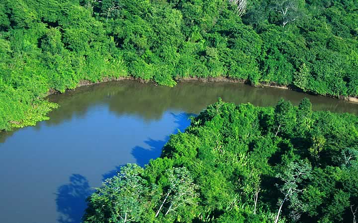Rio Miranda - Pantanal Rio Miranda - Pantanal