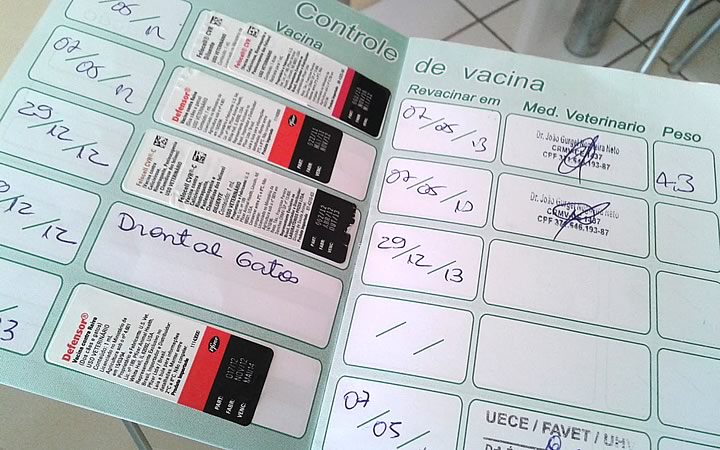 Carteira de vacinação Carteira de vacinação