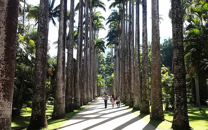 Jardim botânico - Rio de Janeiro