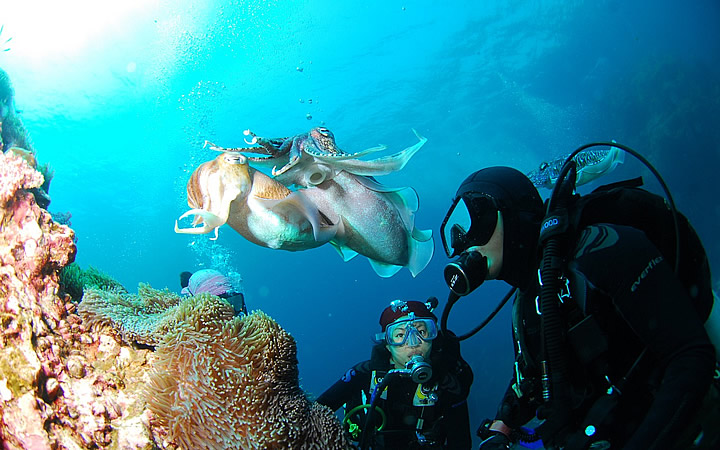Scuba diving mergulho barcelona