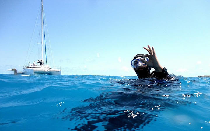 Mergulho em Abrolhos