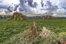 Crista de Galo - Chapada dos Guimarães