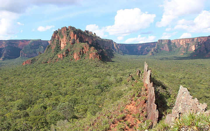 Crista de Galo em Chapada dos Guimarães