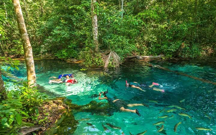 Mergulho nas águas cristalinas de Nobres - MT