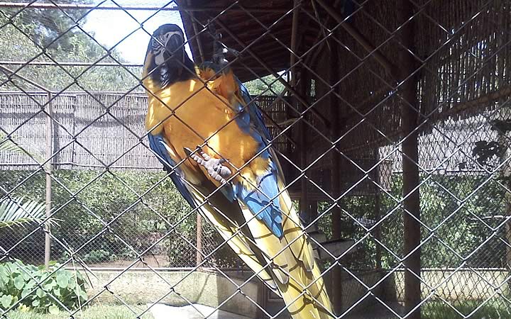 Parque Zoológico Eugênio Walter