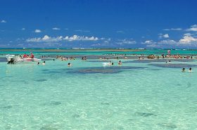 Praias de Alagoas