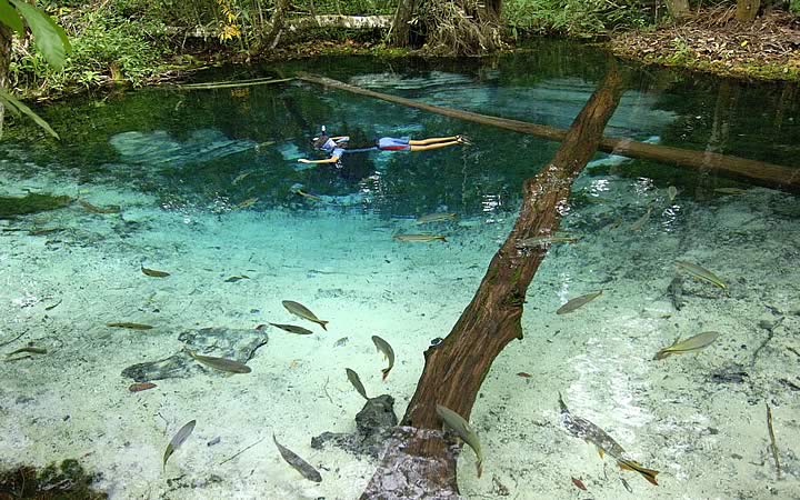 Reino Encantado Lagoa Azul - Aquário Encantado