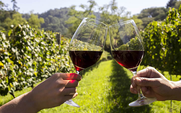 Vinho na Serra Gaúcha