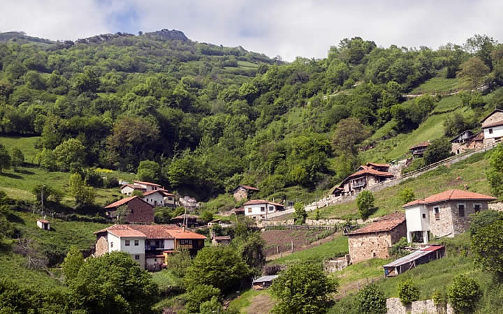 Ponga na Espanha