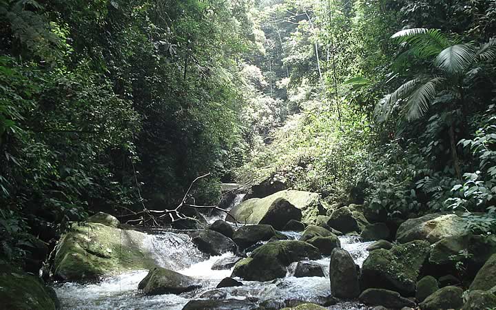 Trilhas do Núcleo Caraguatatuba do Parque Estadual da Serra do Mar