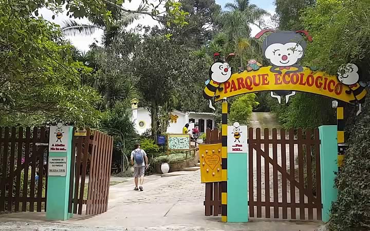 Cidade as abelhas