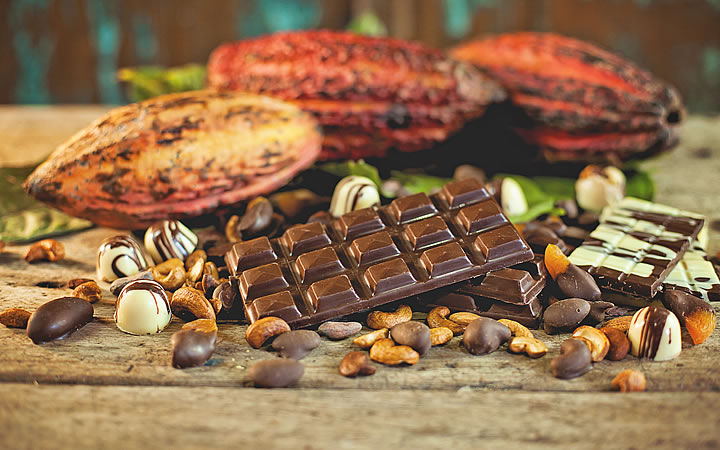 Fazenda do Chocolate