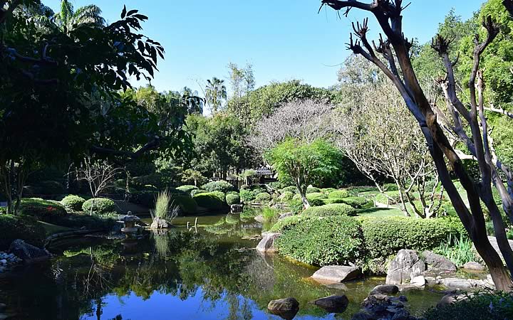Jardim Botânico em Brisbane