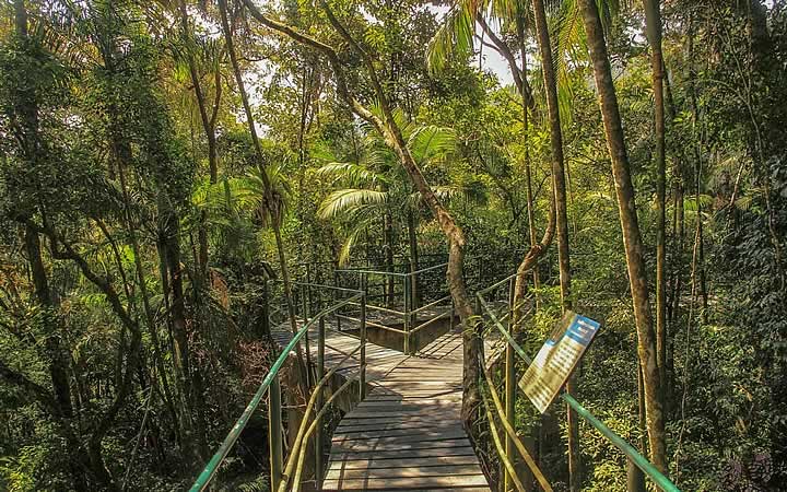 Trilha Teresópolis - trilha suspensa