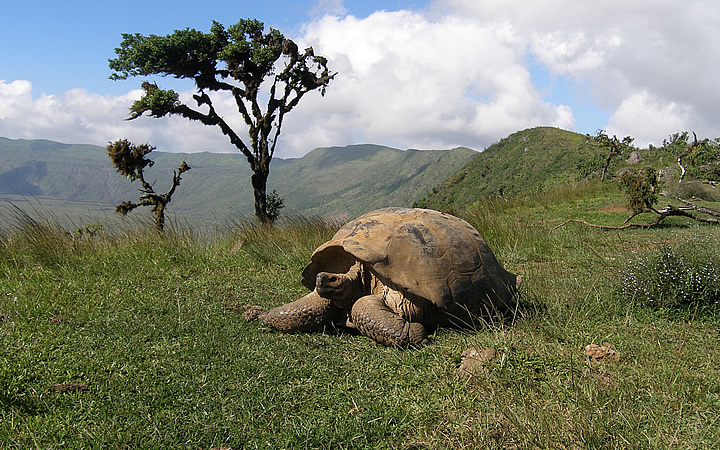 Parque Nacional de Galápagos