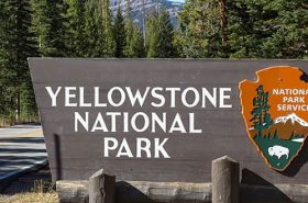Parque Nacional de Yellowstone Parque Nacional de Yellowstone