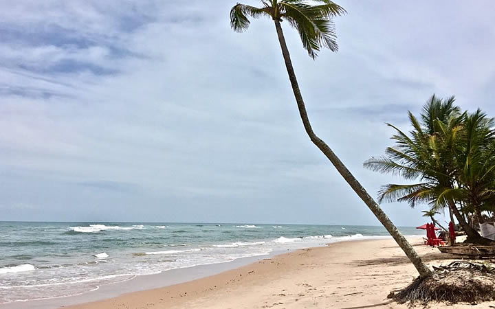 Praia de Algodões em Maraú Praia de Algodões em Maraú