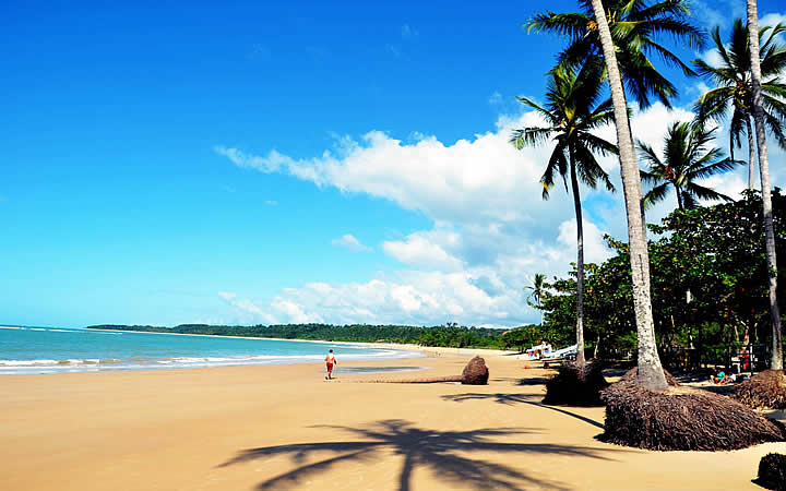 Praia dos coqueiros em Trancoso - Bahia Praia dos coqueiros em Trancoso - Bahia