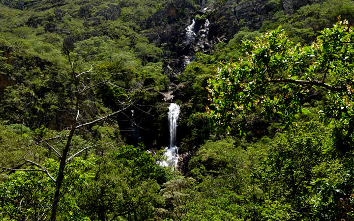 Parque do Cipó vegetação e cachoeira Parque do Cipó vegetação e cachoeira