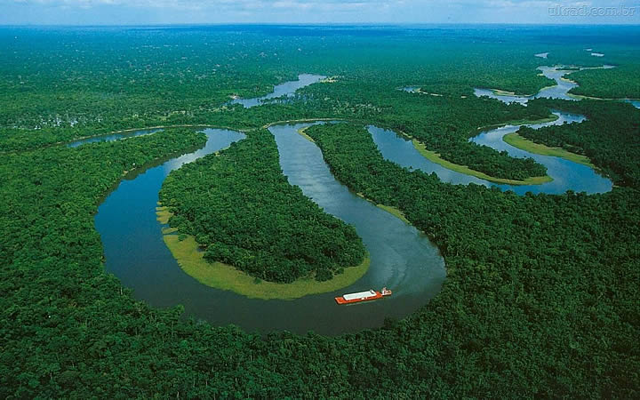 Floresta Amazônica Floresta Amazônica