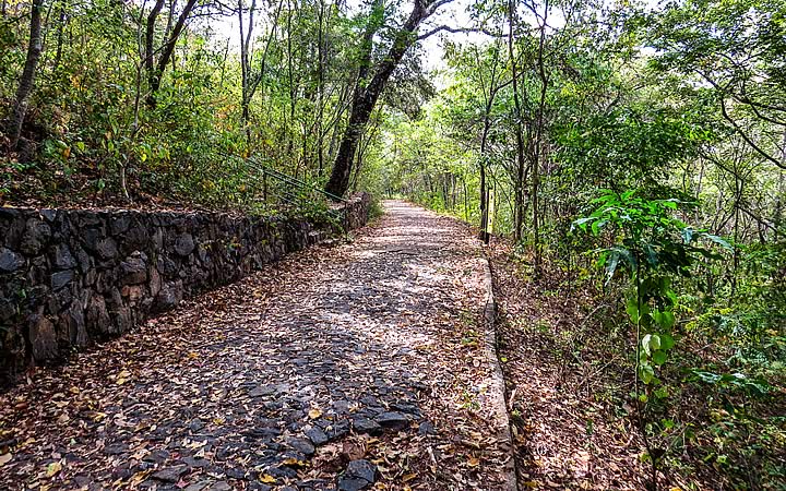 Parque Sapucaia Parque Sapucaia