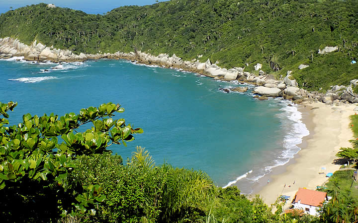 Praia da Tainha Praia da Tainha
