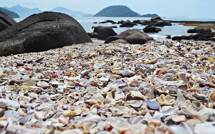 Praia das Conchas em Ubatuba Praia das Conchas em Ubatuba