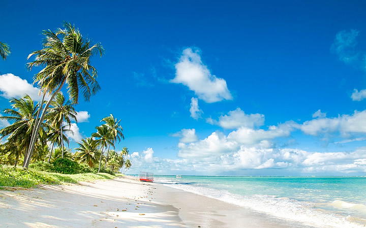 Praia do Patacho – São Miguel dos Milagres Praia do Patacho – São Miguel dos Milagres, Praias do nordeste