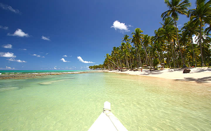 Praia dos Carneiros - Pernambuco Praia dos Carneiros - Pernambuco